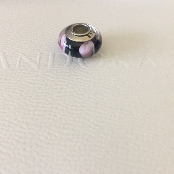 Pandora‎ charm - Picture 1 of 4